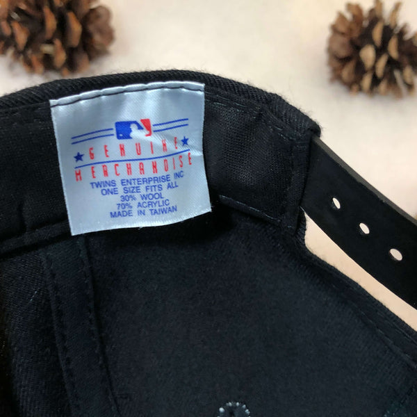 Vintage Deadstock NWT MLB Tampa Bay Devil Rays Twins Enterprise Wool Snapback Hat