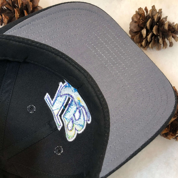 Vintage Deadstock NWT MLB Tampa Bay Devil Rays Twins Enterprise Wool Snapback Hat