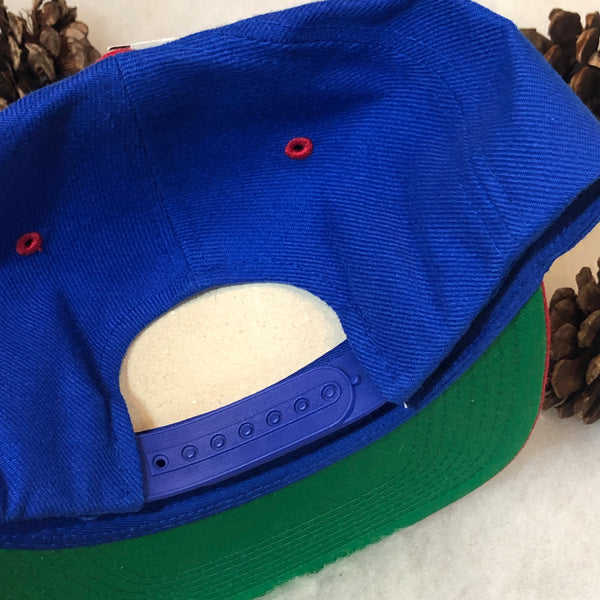 Vintage Deadstock NWT NFL Buffalo Bills ANI Wool Snapback Hat