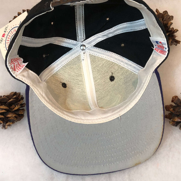 Vintage Deadstock NWT MLB Tampa Bay Devil Rays New Era Wool Snapback Hat