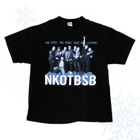 2011 NKOTBSB New Kids On The Block Backstreet Boys Once In A Lifetime Tour T-Shirt (XL)