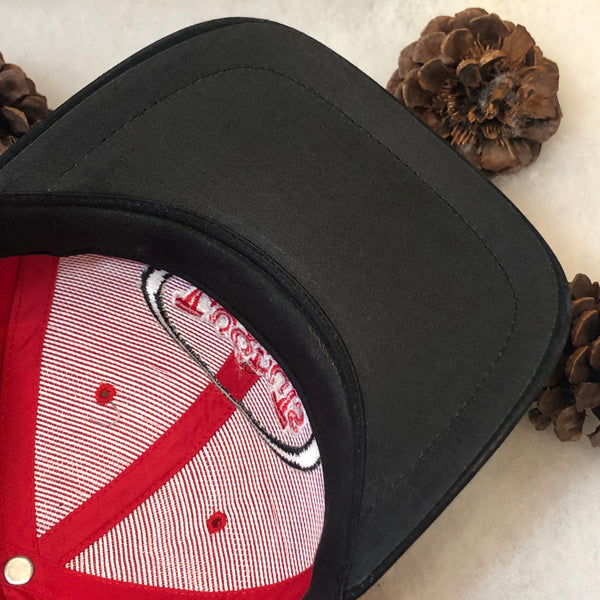 Vintage MiLB Lansing Lugnuts Twins Enterprise Strapback Hat