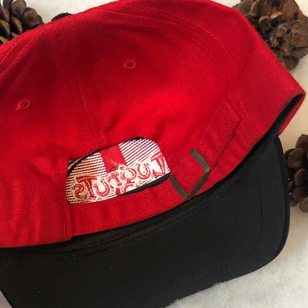 Vintage MiLB Lansing Lugnuts Twins Enterprise Strapback Hat