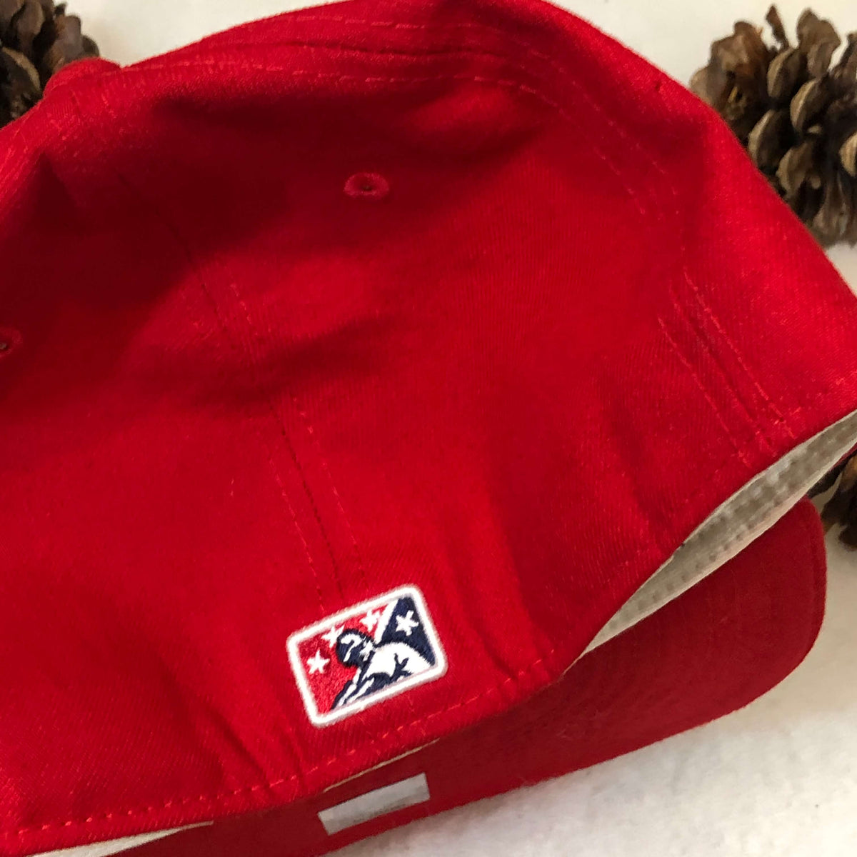 MiLB Pawtucket Red Sox Paw Sox New Era Fitted 7 3/4 – 🎅 Bad Santa