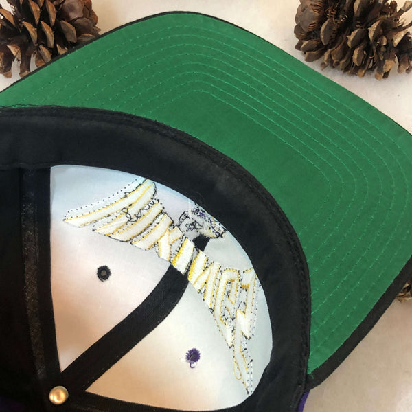 Vintage Deadstock NWOT NFL Minnesota Vikings AJD Pinwheel Twill Snapback Hat