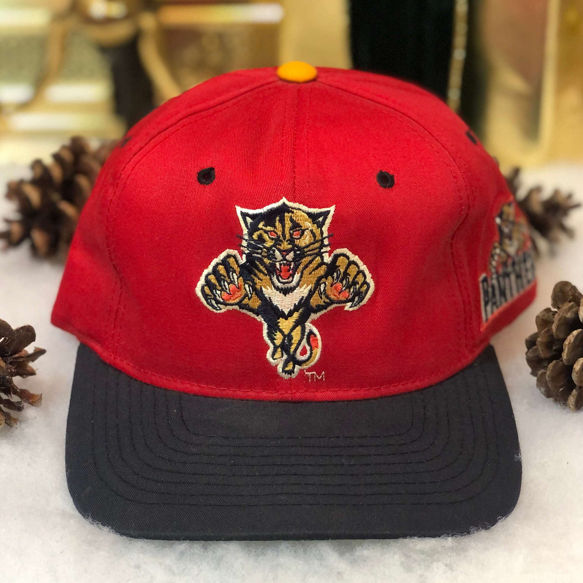 Vintage Florida Panthers Cap