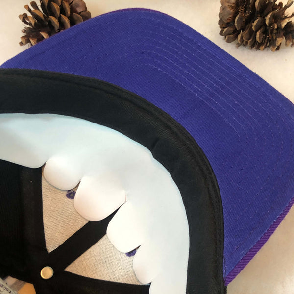 Vintage Deadstock NWOT NFL Minnesota Vikings Pro Player Spellout Wool Snapback Hat