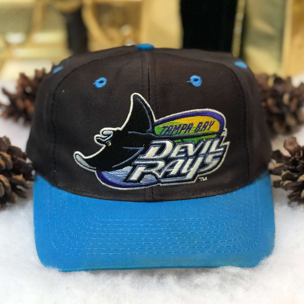 Tampa Bay Devil Rays Vintage Logo 7 Big Logo Snapback Cap Hat - NWT –  thecapwizard