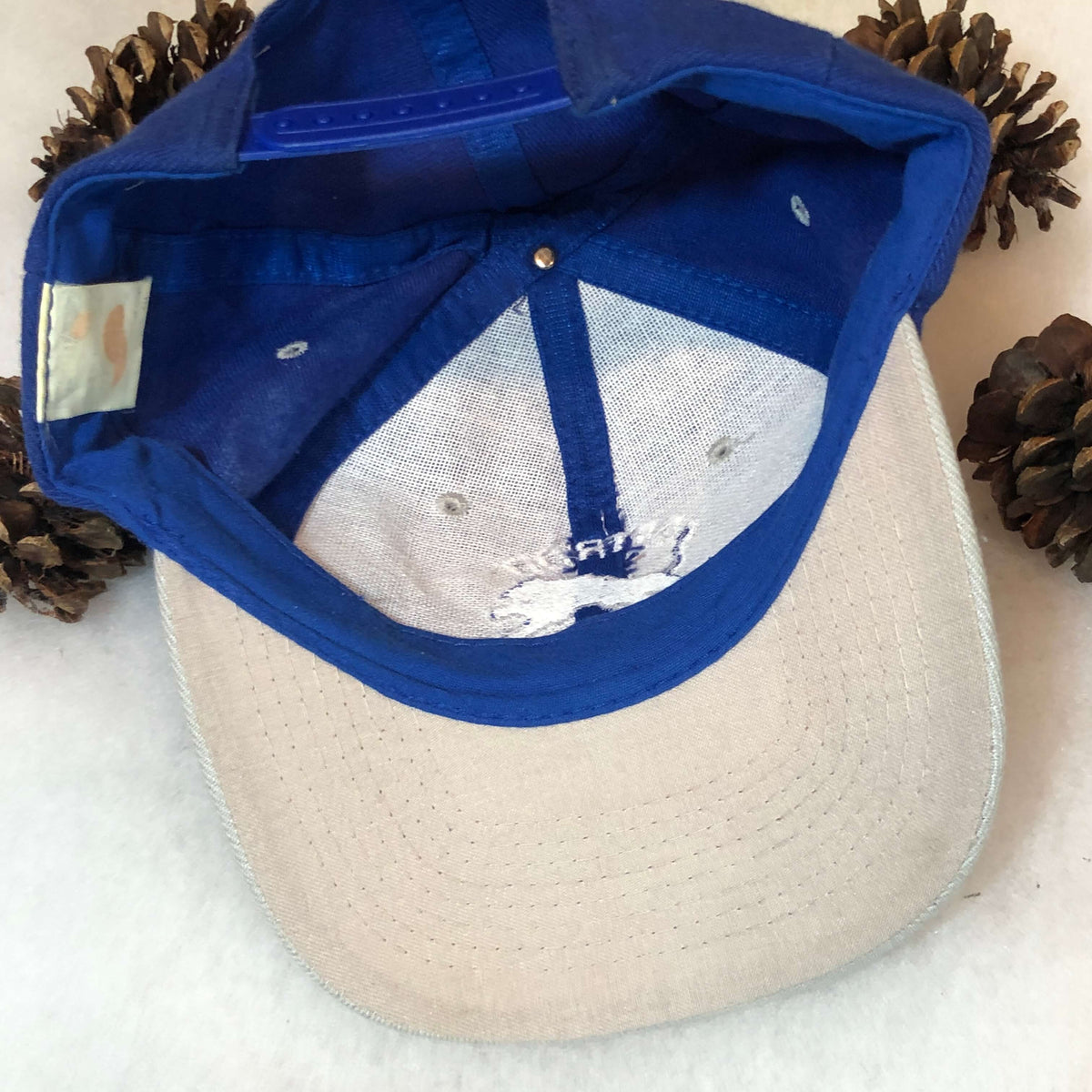 Vintage NFL Detroit Lions AJD Wool Snapback Hat – 🎅 Bad Santa