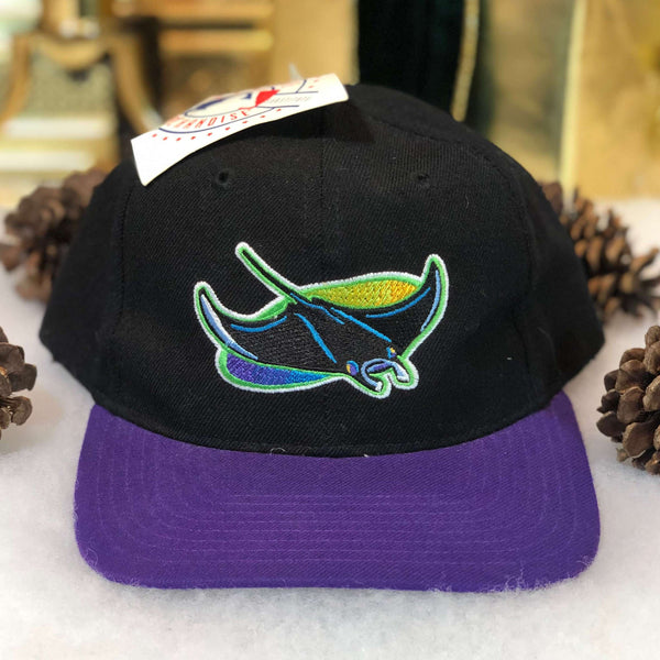 Vintage Deadstock NWT MLB Tampa Bay Devil Rays Twins Enterprise Wool Snapback Hat