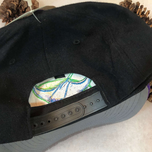 Vintage Deadstock NWT MLB Tampa Bay Devil Rays Twins Enterprise Wool Snapback Hat