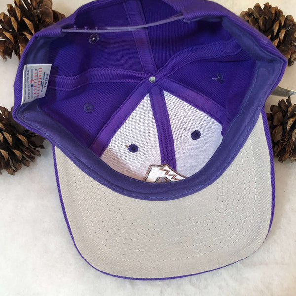 Vintage Deadstock NWT MLB Arizona Diamondbacks Twins Enterprise Wool Snapback Hat