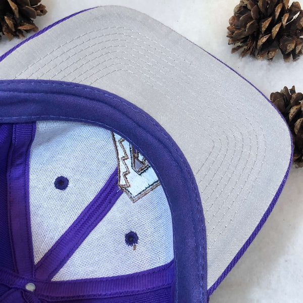 Vintage Deadstock NWT MLB Arizona Diamondbacks Twins Enterprise Wool Snapback Hat