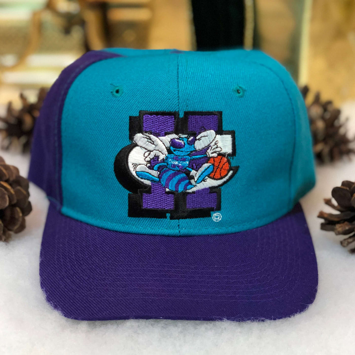Charlotte Hornets Sports Specialties Script Hat