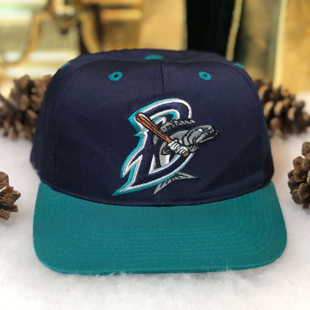 Vintage MiLB Bridgeport Bluefish Outdoor Cap Twill Snapback Hat – 🎅 Bad  Santa