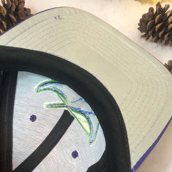 Vintage Deadstock NWT MLB Tampa Bay Devil Rays Twins Enterprise Twill Snapback Hat