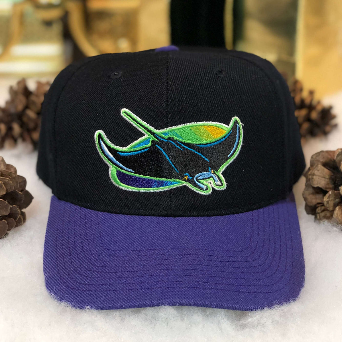 VINTAGE 90S TAMPA BAY DEVIL RAYS SNAPBACK HAT SPORTS SPECIALTIES WOOL BLEND  VTG