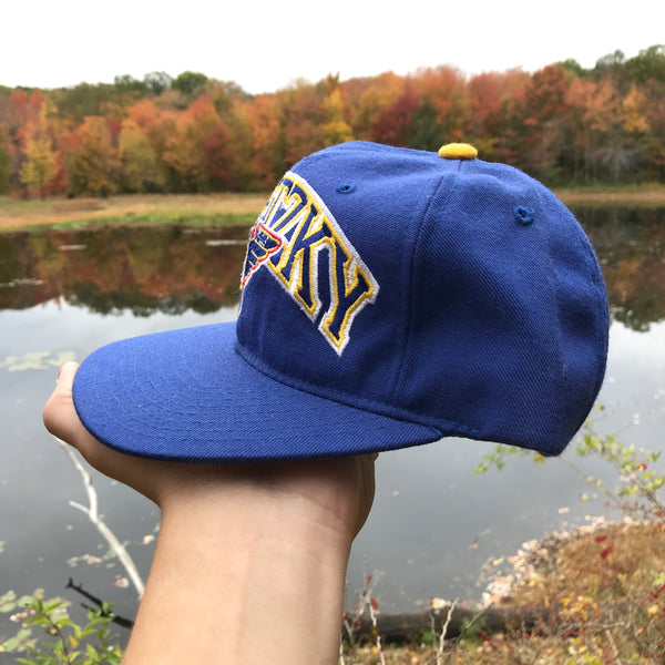 Vintage Deadstock NWOT Starter NHL St. Louis Blues Wayne Gretzky Snapback Hat