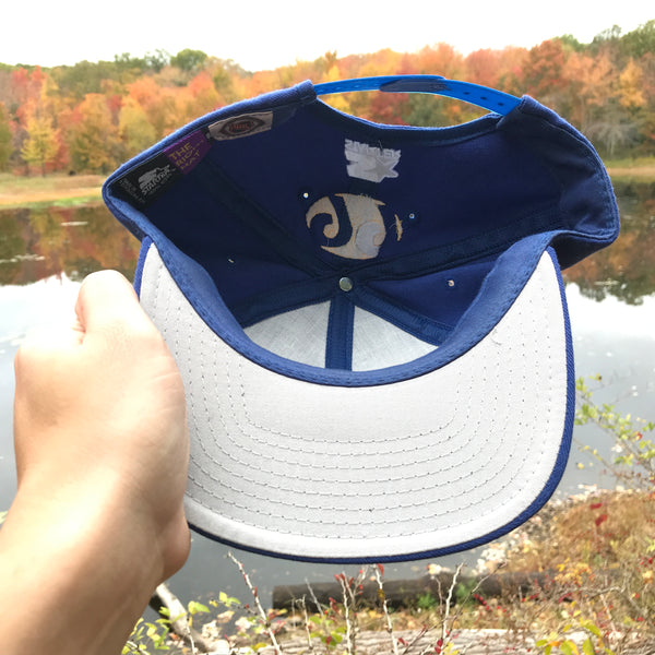Vintage Deadstock NWOT Starter NHL St. Louis Blues Wayne Gretzky Snapback Hat