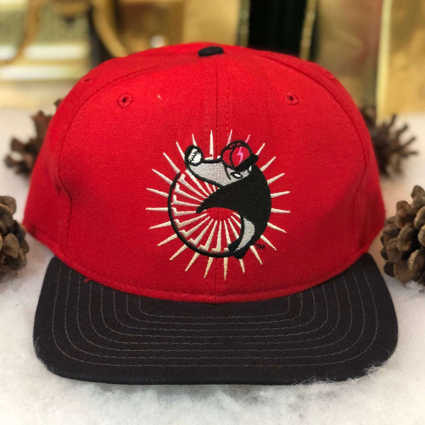 Vintage 1993 MiLB Maui Stingrays Hawaii Winter Baseball New Era Snapback Hat