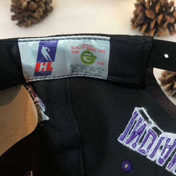 Vintage Deadstock NWT IHL Indianapolis Ice The G Cap Wave Snapback Hat