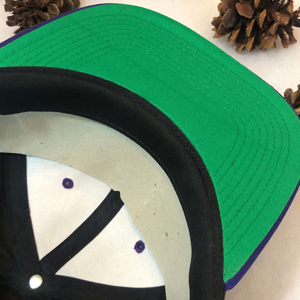 Vintage Deadstock NWT IHL Indianapolis Ice The G Cap Wave Snapback Hat