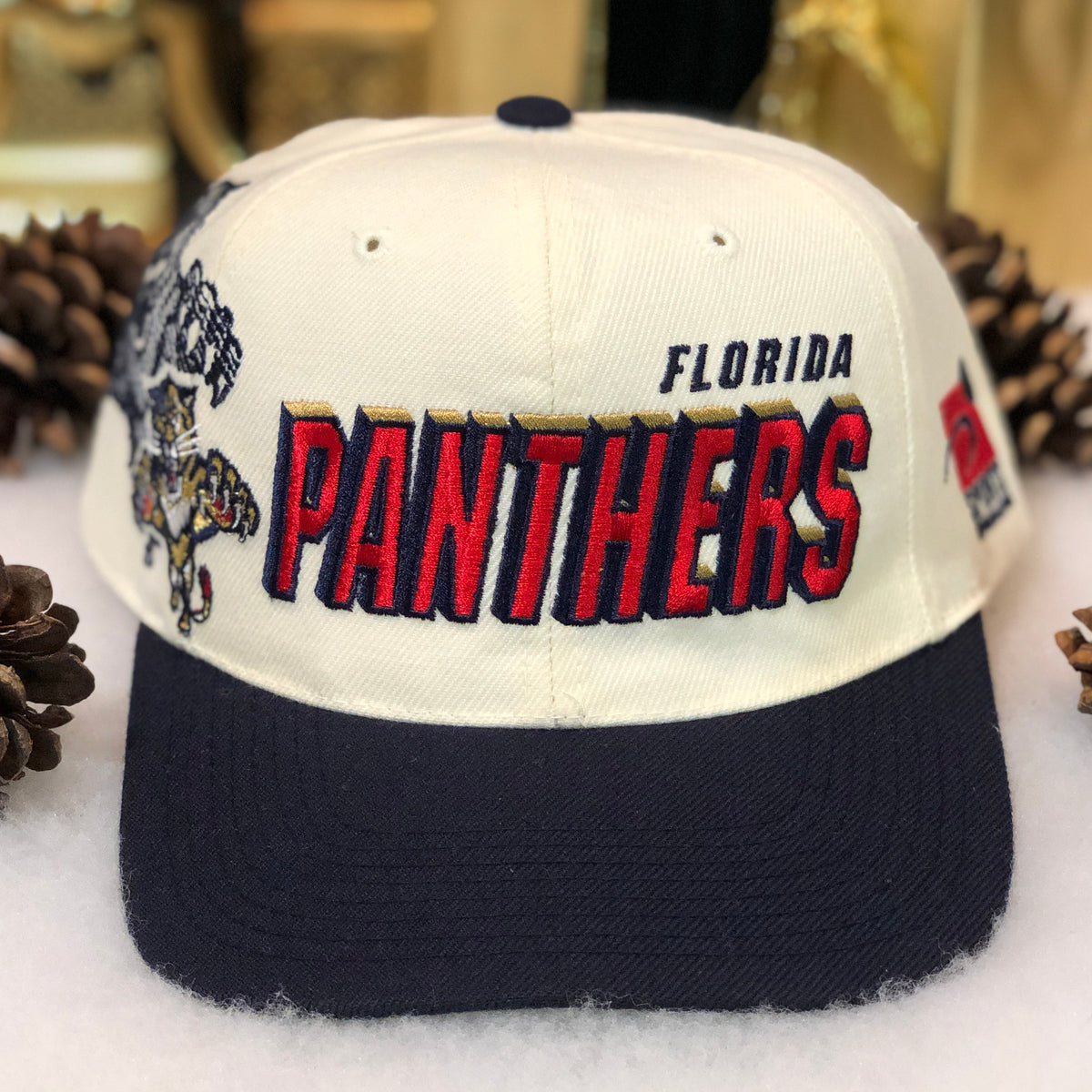 Florida Panthers Rare Vintage Deadstock Snapback Hat