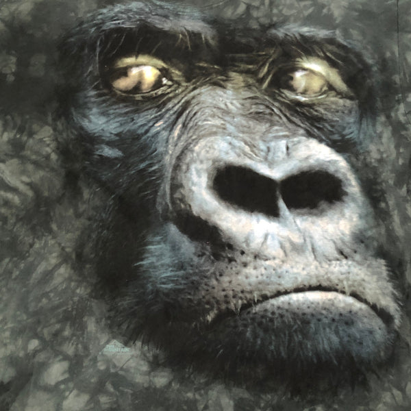The Mountain Gorilla Tie-Dye T-Shirt (XL)