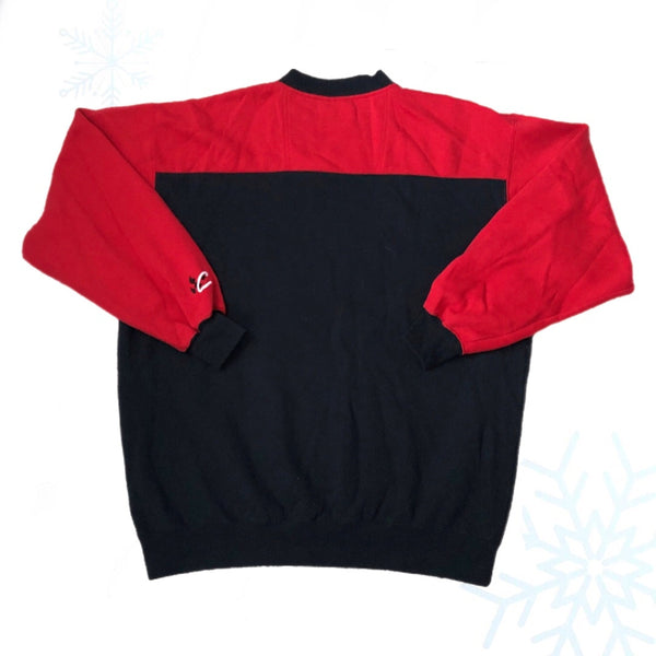 Vintage NASCAR Dale Earnhardt Long Sleeve Jersey Sweatshirt (L)