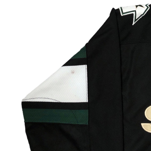 Vintage NHL Dallas Stars Starter Hockey Jersey (L)