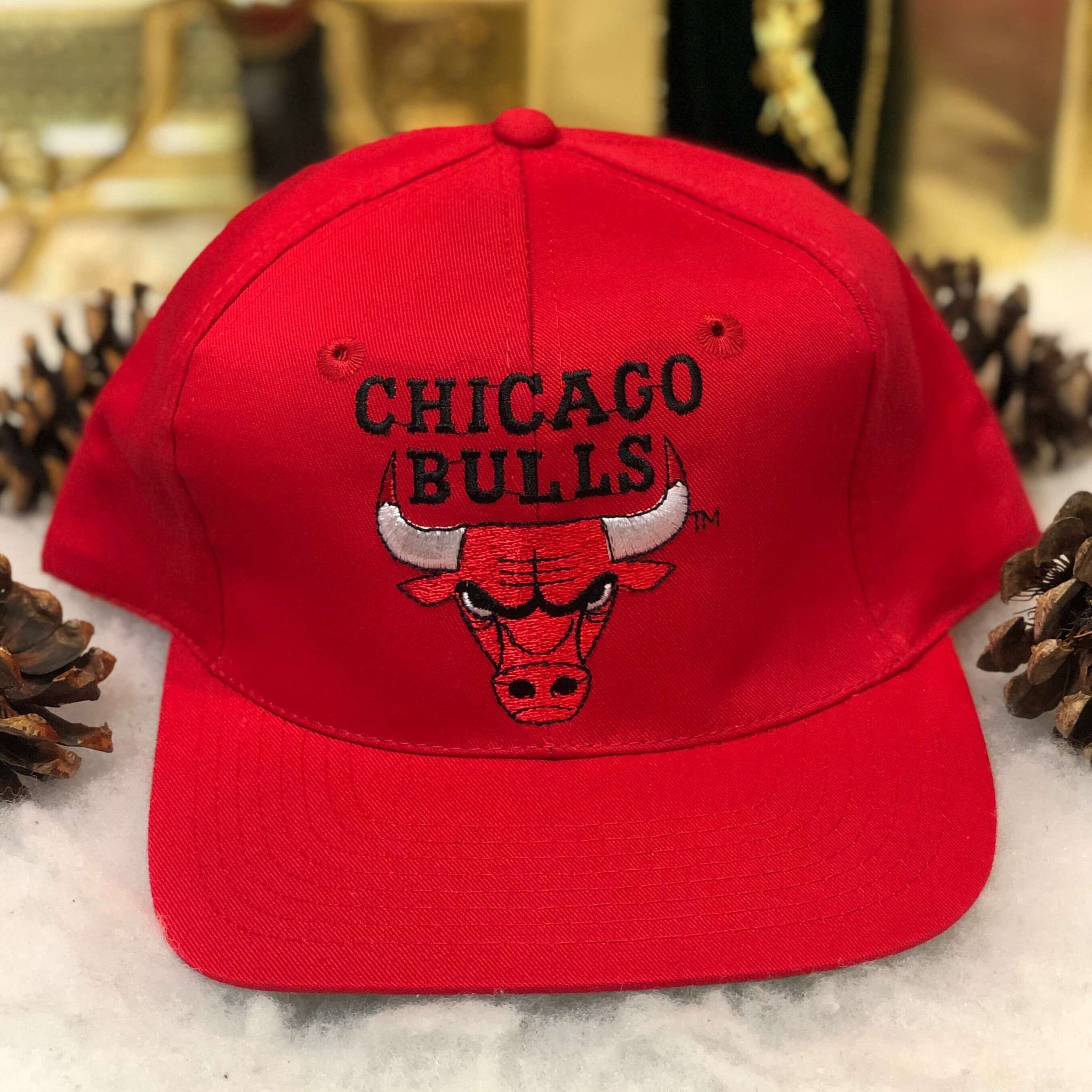 Vintage Deadstock NWT NBA Chicago Bulls Twins Enterprise Twill Snapback Hat