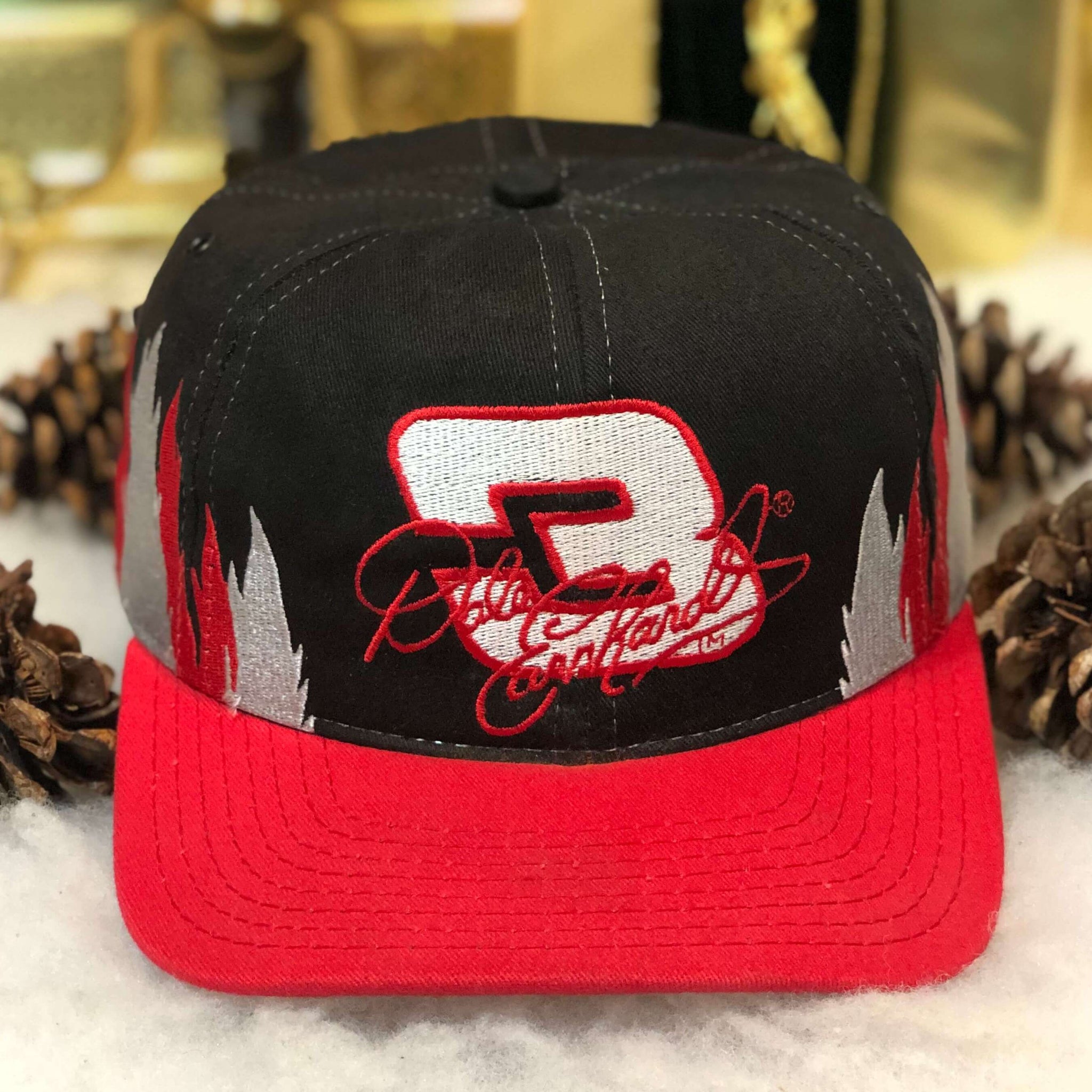 Vintage NASCAR Dale Earnhardt Flames Snapback Hat