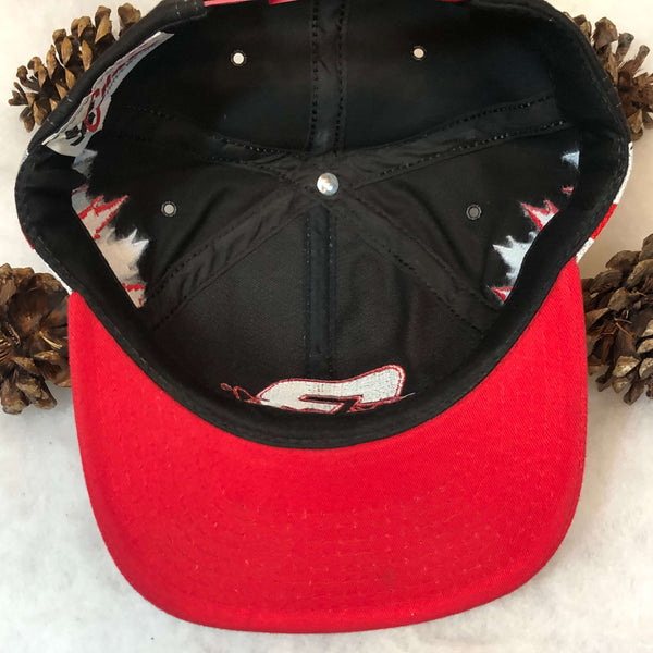 Vintage NASCAR Dale Earnhardt Flames Snapback Hat