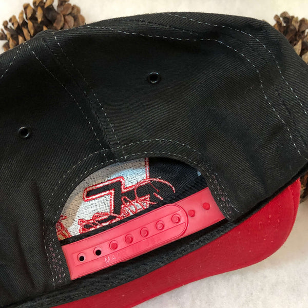 Vintage NASCAR Dale Earnhardt Flames Snapback Hat