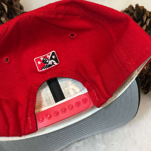 Vintage MiLB Harrisburg Senators New Era Wool Snapback Hat