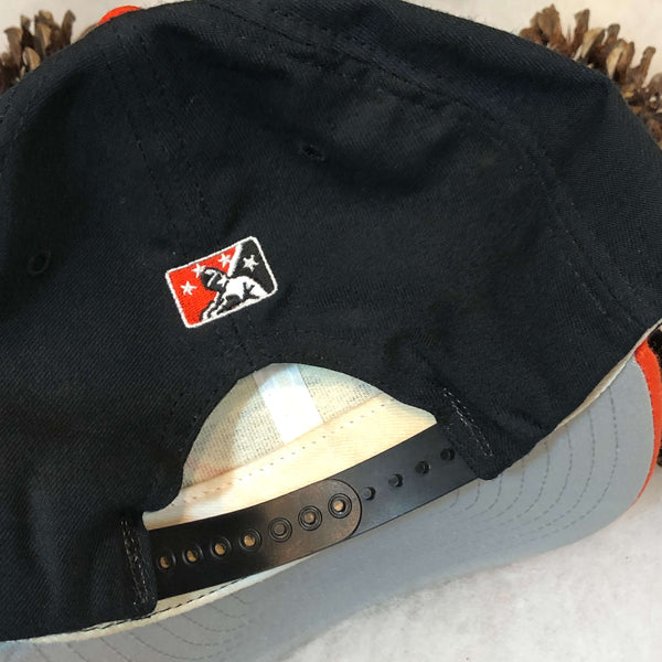 Vintage MiLB Delmarva Shorebirds New Era Wool Snapback Hat