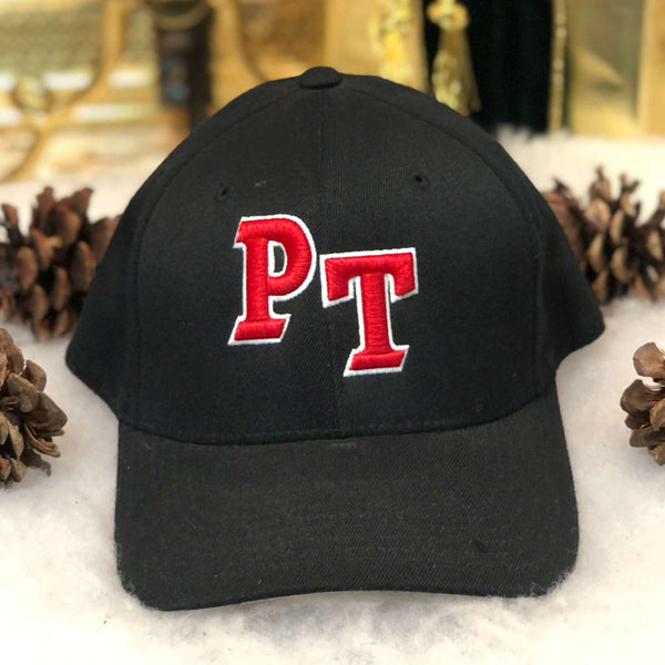 Park Tudor Panthers Indianapolis High School Wool Stretch Fit Hat