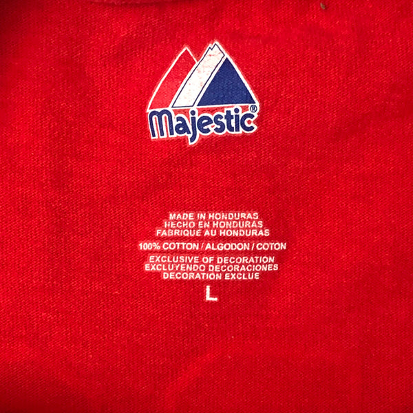 2010 MLB Boston Red Sox Dustin Pedroia USA Flag July 4th Stars & Stripes Jersey T-Shirt (L)