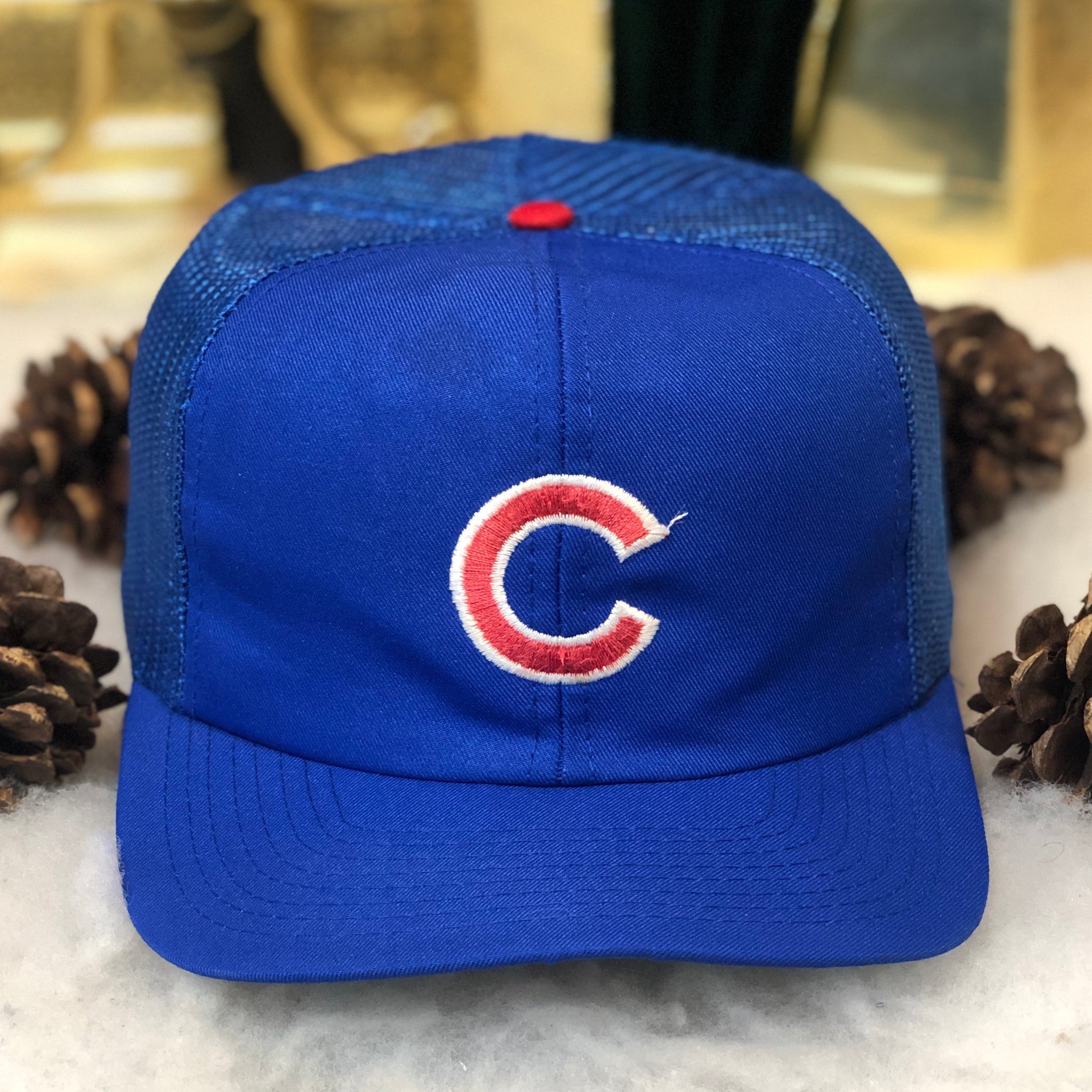 Vintage MLB Chicago Cubs Twins Enterprise Trucker Hat