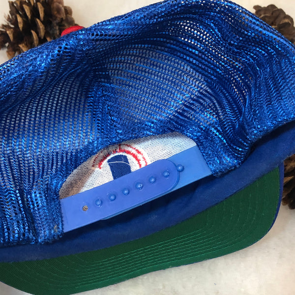 Vintage MLB Chicago Cubs Twins Enterprise Trucker Hat