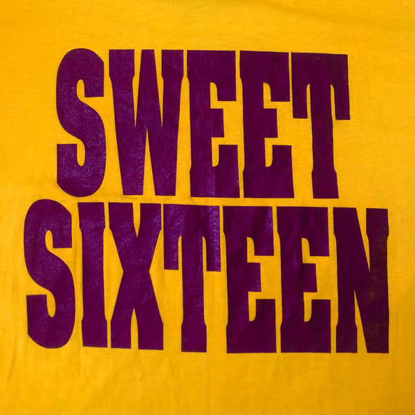 Vintage Alexandria Tigers 1995 Sweet Sixteen Indiana High School Basketball T-Shirt (XL)