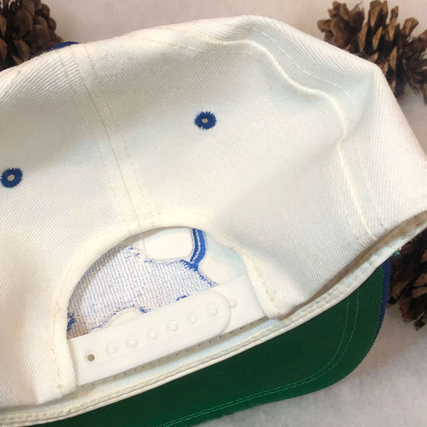 Vintage NFL Detroit Lions Sports Specialties Brim Script Wool Snapback Hat