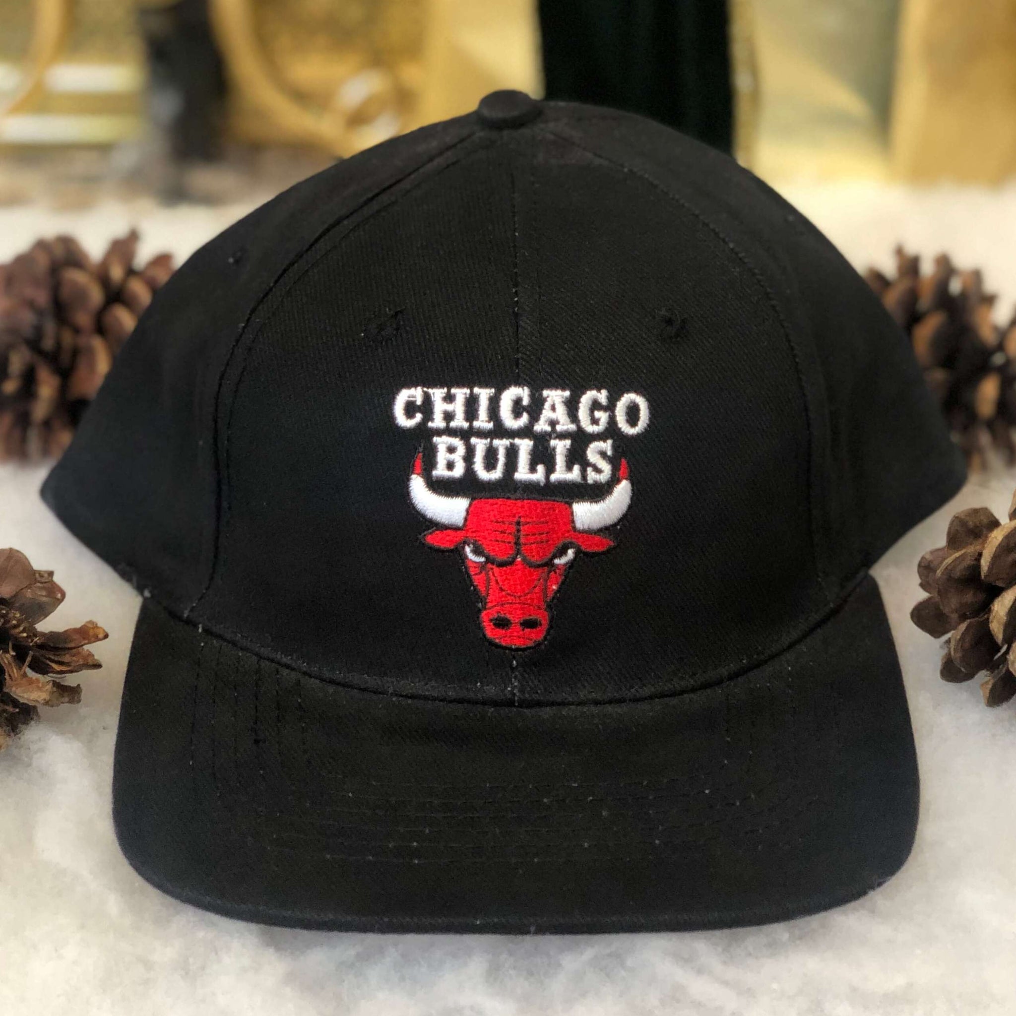 Vintage Deadstock NWOT NBA Chicago Bulls ComEd Promo Strapback Hat