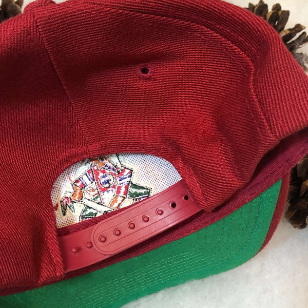 Vintage NHL Phoenix Coyotes Twins Enterprise Wool Snapback Hat