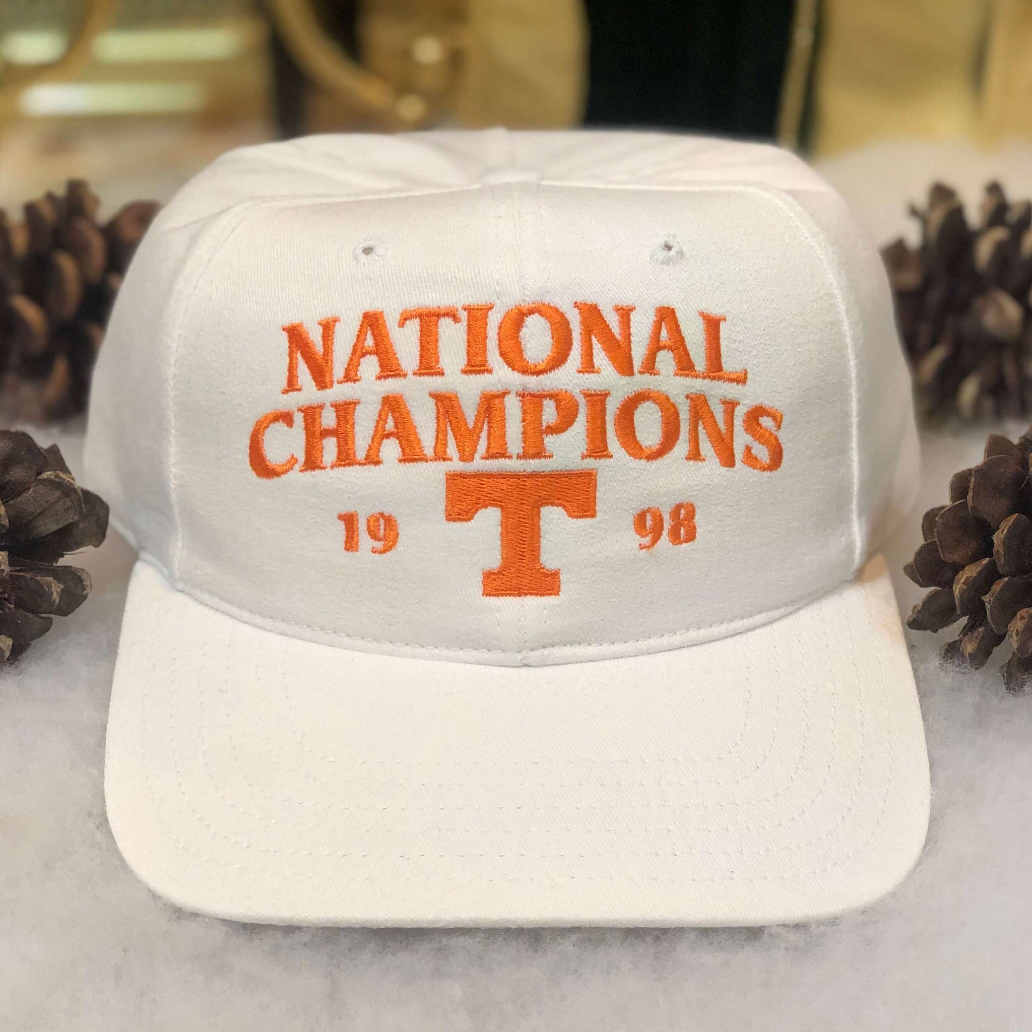 Vintage 1998 NCAA Tennessee Volunteers National Champions Twins Enterprise Snapback Hat