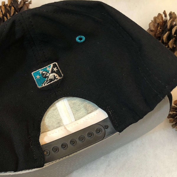 Vintage MiLB Portland Sea Dogs New Era Wool Snapback Hat