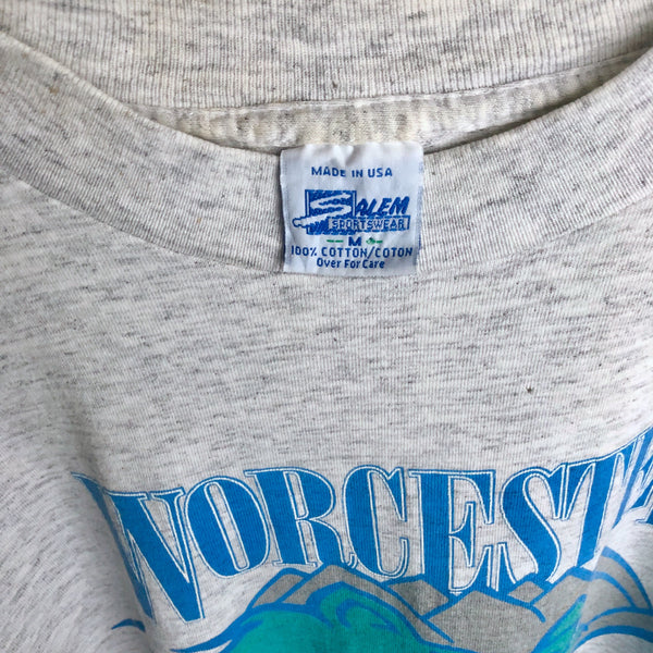 Vintage AHL Worcester IceCats Salem Sportswear T-Shirt (M)