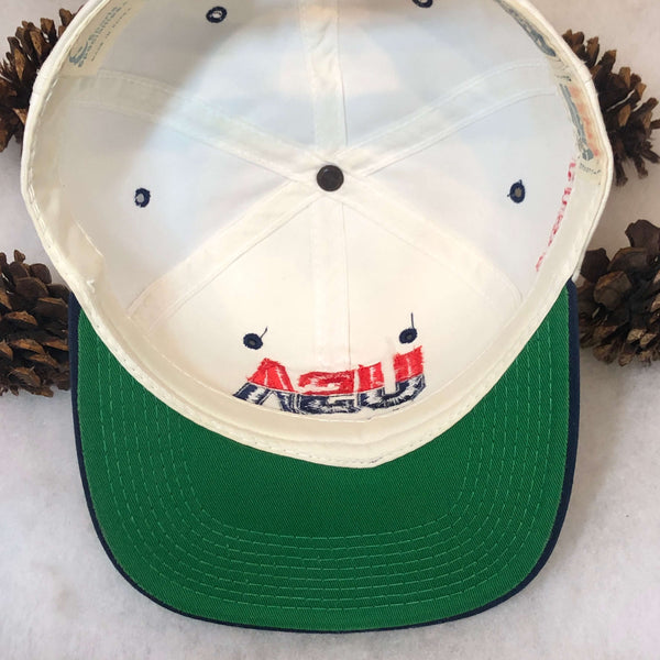 Vintage USA Basketball Sports Specialties Twill Snapback Hat