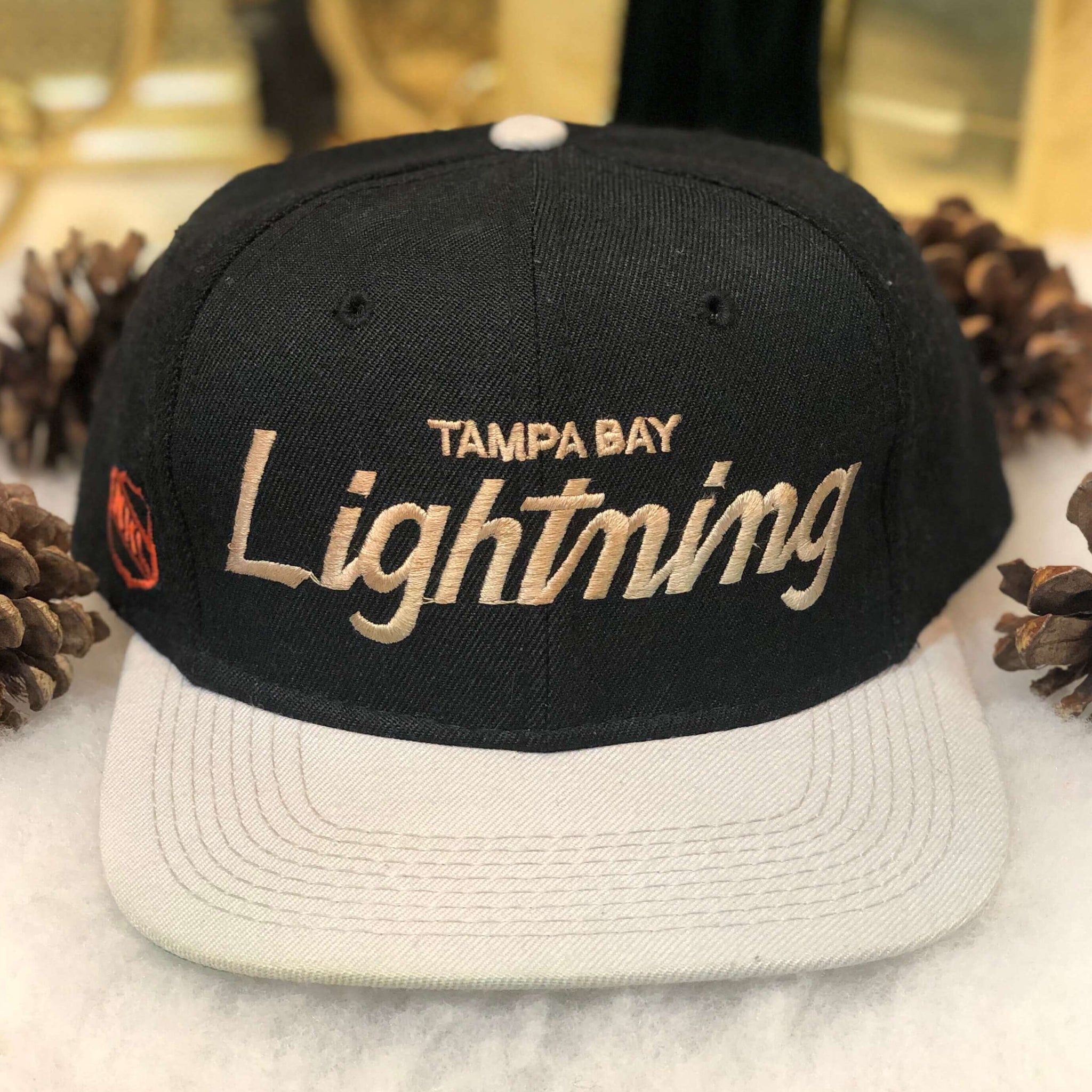 Vintage NHL Tampa Bay Lightning Sports Specialties Script Wool Snapback Hat