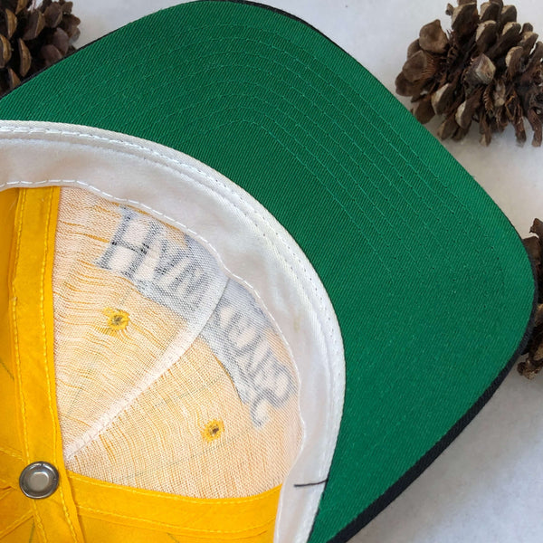 Vintage NCAA Iowa Hawkeyes Pinstripe The Game Twill Snapback Hat